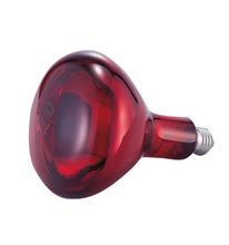 Heat Lamp Bulb