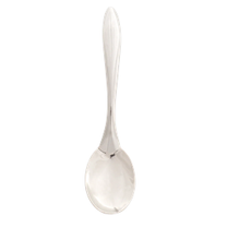 Eclipse Solid Serving Spoon
