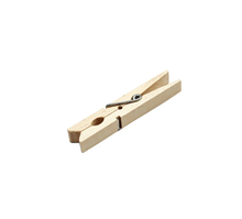 Spring-type Plastic Clothespin