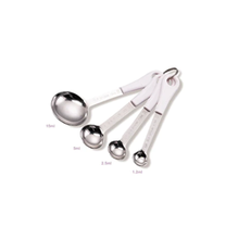 Stainless Steel Measuring Spoon